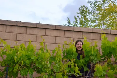 DSC_7420 (Large).JPG